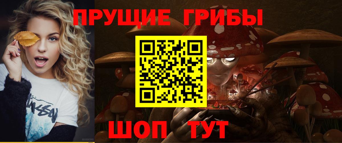 Галлюциногенные грибы Psilocybe  Вход с VPN  Комсомольск-на-Амуре 